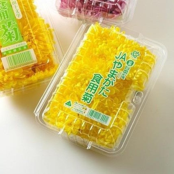 食用菊